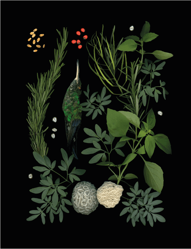 Bien querer-Joyce-Rivas-Medina (2)