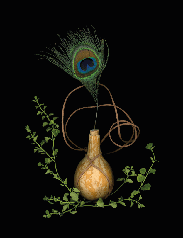 Bien querer-Joyce-Rivas-Medina (7)